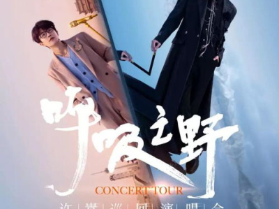 许嵩“呼吸之野”演唱会：音乐之旅，心灵共鸣的视听盛宴