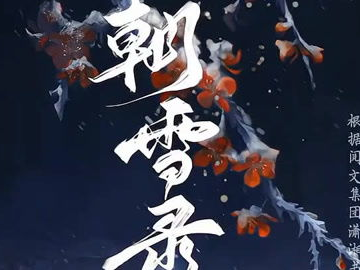 朝雪录：探寻冬日里的热度传奇